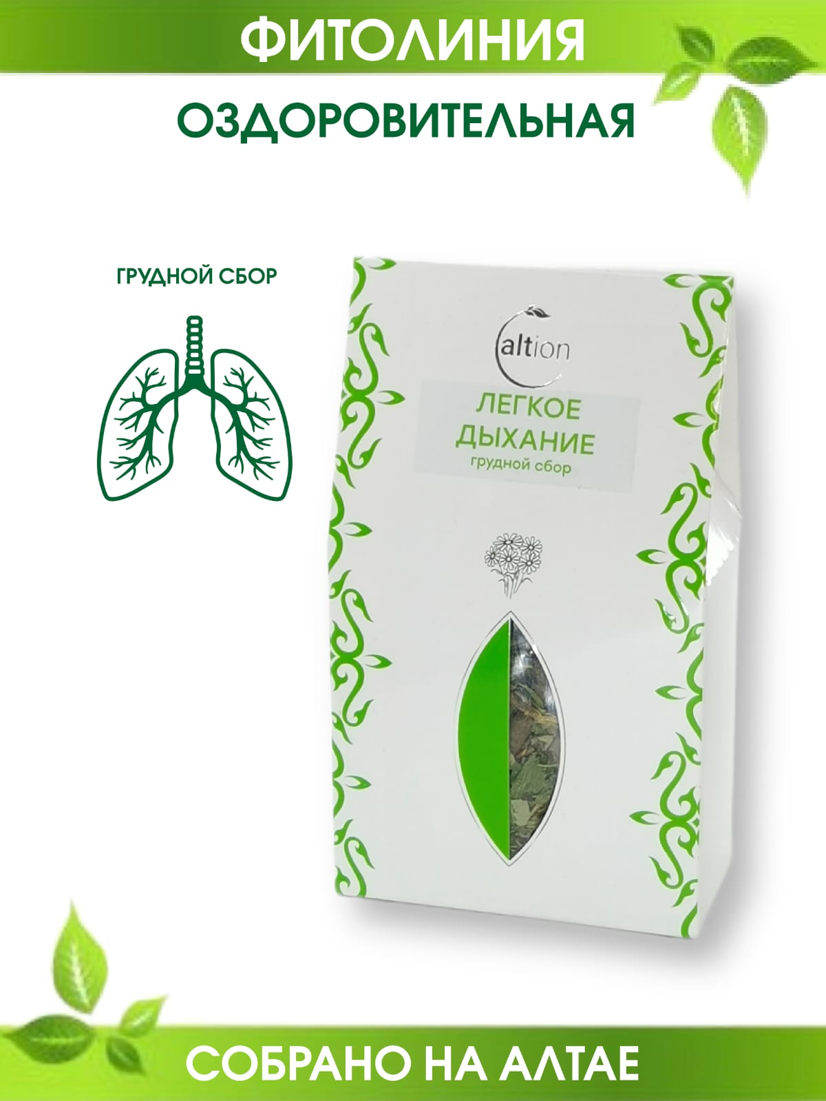 legk_dihan